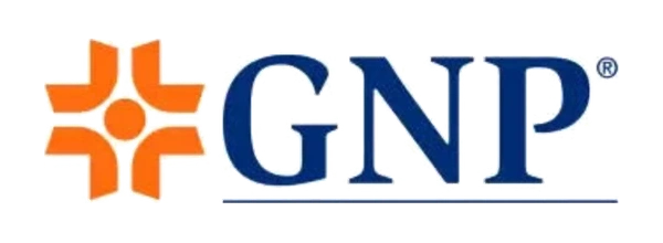 GNP